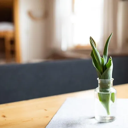 Dorfbaeck Appartement *