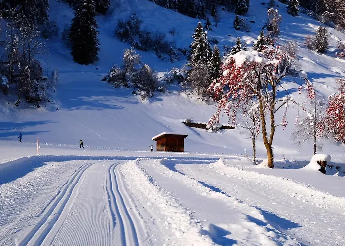 Dorfbaeck Διαμέρισμα