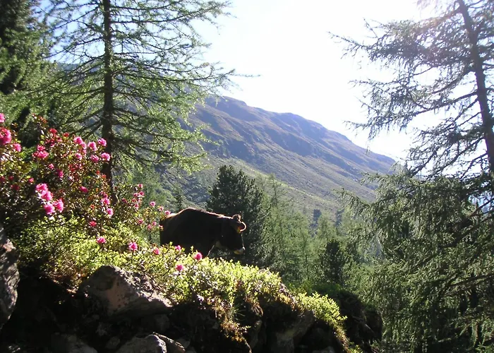 Apartmán Dorfbaeck Kaunertal