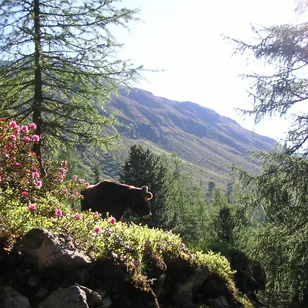 Lejlighed Dorfbaeck Kaunertal